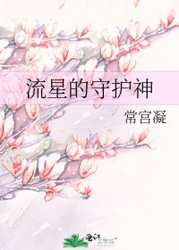 《流星的守护神》
