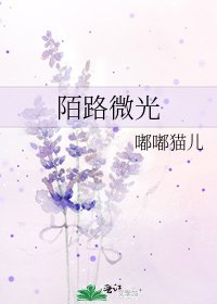 《陌路微光》