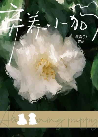 棄養小狗